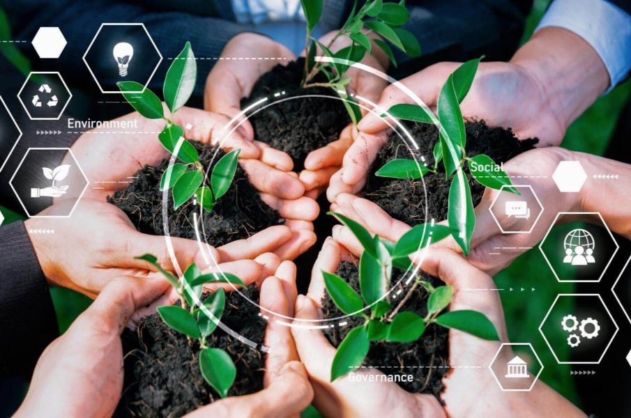Westlife Foodworld Shines Bright In S&P Global’s Corporate Sustainability Assessment